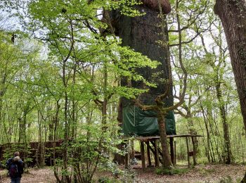 Trail Walking Le Mas-d'Agenais - Mas D agenais - Photo