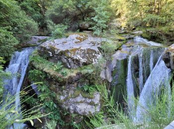 Excursión Senderismo Casteil - Gorges du Cady Abbaye St Martin_T - Photo