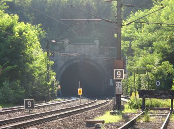 Percorso A piedi Eichgraben - Hinterleiten - Rekawinkel - Photo