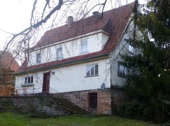 Tocht Te voet Mossautal - Rundwanderweg Hiltersklingen 4: Hildegeresbrunnenweg - Photo