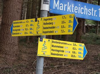 Tocht Te voet Sasbachwalden - Hinterer Wasen - Breitenbrunnen - bequemer Weg - Photo