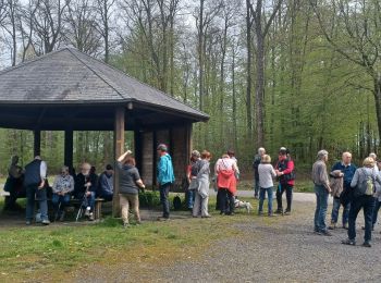 Excursión Senderismo Fourmies - Tamalous 2023.04.27 - Photo