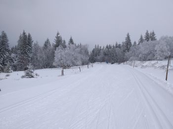 Trail Cross-country skiing Le Valtin - schlucht 07 03 - Photo