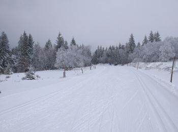 Randonnée Ski de fond Le Valtin - schlucht 07 03 - Photo