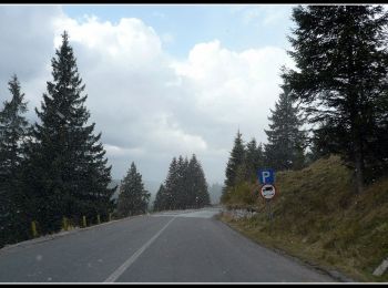 Tour Zu Fuß Niklasmarkt - Pasul Pângărați – Poarta Lapoșului – Curmătura Pinticului (blue stripe) - Photo