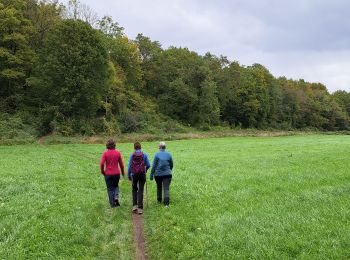 Excursión Senderismo Durbuy - Autour de Tohogne (Durbuy) - Photo