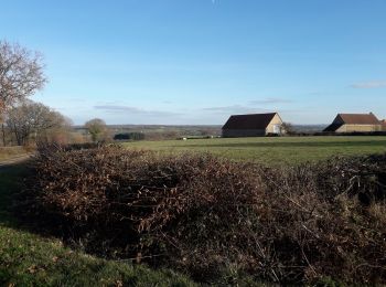 Tocht Hybride fiets Pouligny-Notre-Dame - autour des Dryades  - Photo