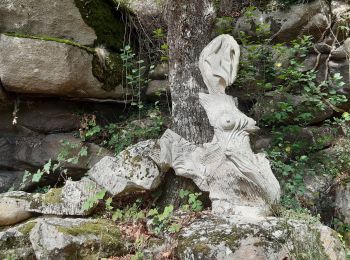 Tour Wandern Saint-Plantaire - Fougères  la Fileuse Crozan - Photo