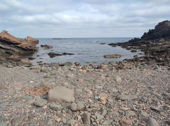 Tour Wandern Ciutadella - Cala del Pilar – Cap Cavalleria - Photo