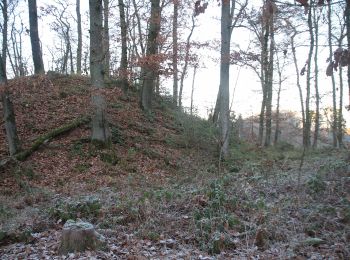 Percorso A piedi Weimar (Lahn) - [W7] Ortsrundweg Niederwalgern - Kehna - Stedebach - Niederwalgern - Photo