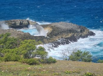 Trail Walking Anse-Bertrand - Trou du souffleur  - Photo