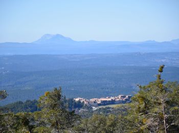 Tocht Mountainbike Flayosc -  Matourne  st Pierre tour de guet - Photo