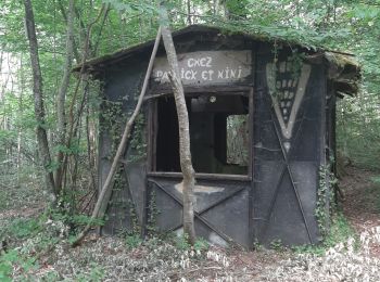 Percorso Camminata nordica Ludres - Randonnée Ludres la mine la maison Patrick et Nini - Photo