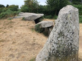 Trail On foot Arzon - Circuit des Pointes du Golfe - Photo