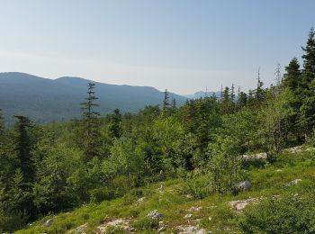 Randonnée Marche Corrençon-en-Vercors - Boucle Les Ravières - Photo