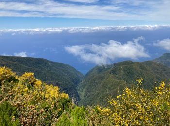 Trail Walking Serra de Água - Ribeiro brava - Photo