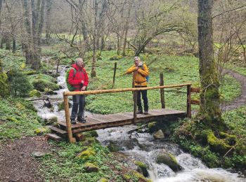 Randonnée Marche Soultz-Haut-Rhin - Rando Marcheurs..04/04_2025 - Photo