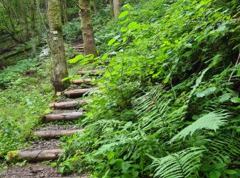 Randonnée Marche Oberhaslach - Circuit des 2 cascades - Photo