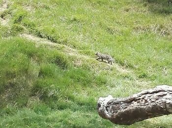 Tour Wandern La Possession - Marla par la Nouvelle du col des boeufs - Photo