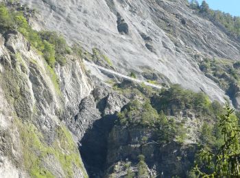 Randonnée A pied Savièse - Bisse de Savièse (Torrent-Neuf) - Photo