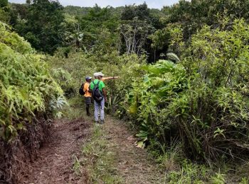 Trail Walking Sainte-Rose - contrebandiers belle isle - Photo