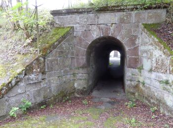 Randonnée A pied Hann. Münden - Rundwanderweg Scheden 1 - Photo