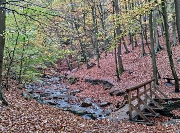 Randonnée V.T.T. Trooz - par le Ninglinspo - Photo