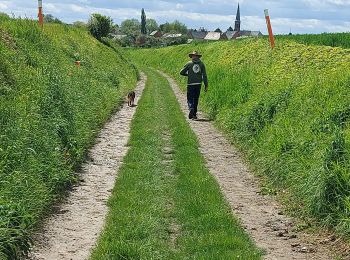 Tour Wandern Pont-à-Celles - Marche éphémère Liberchirs - Photo