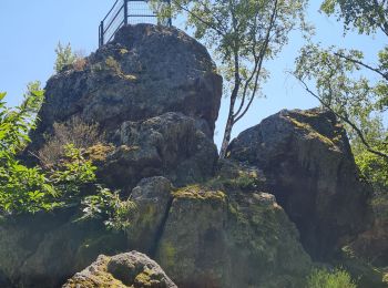 Trail Walking Vieux-Thann - Rando CLAS du Jeudi 19 Juin 2025 par PBo - Photo