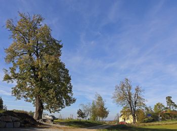 Randonnée A pied Gemeinde Raabs an der Thaya - AT-71 - Photo