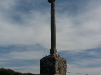 Excursión Senderismo Saint-Alban-sur-Limagnole - les faux à au mont sur aubrac - Photo