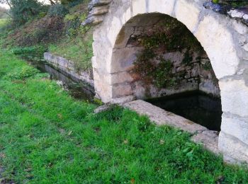 Trail Walking Sonthonnax-la-Montagne - pt de vue Chougeat  - Photo