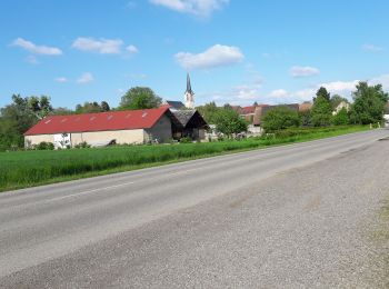 Randonnée Marche Heimsbrunn - 19.05.12.Heimsbrunn  - Photo