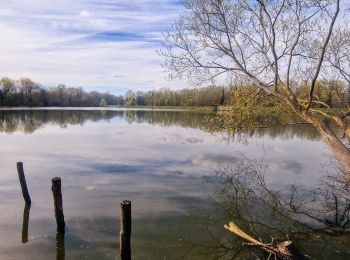 Excursión Senderismo Bussy-Saint-Georges - Boucle Rentilly - Noisiel - Etang de la Brosse - Etang de la Loy - Photo