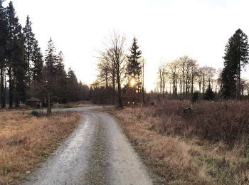 Percorso A piedi Netphen - Schulweg Rundweg A6 - Über die Eisenstraße - Photo