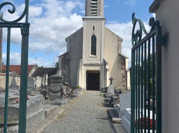 Tocht Stappen Auteuil - Autouillet - Photo