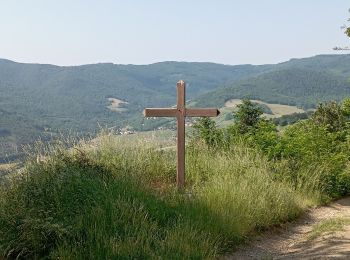 Tocht Stappen Quincié-en-Beaujolais - quincie Patrick  - Photo