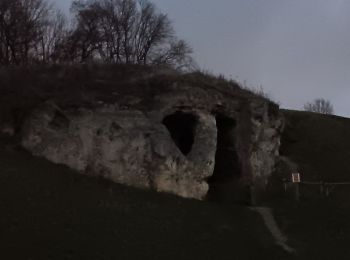 Randonnée Marche Riemst - montagne St-Pierre / St Pietersberg - Photo