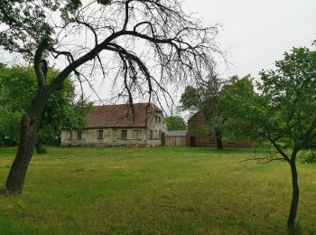 Randonnée A pied Briesen - Wanderweg Briesen-Striesow-Dissen-... - Photo