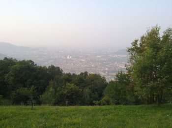 Tour Zu Fuß Bovezzo - Bovezzo - Sant'Onofrio - Photo