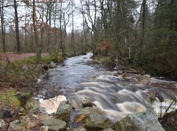 Randonnée Marche Stavelot - 20211213 - Hockay 5.4 Km - Photo