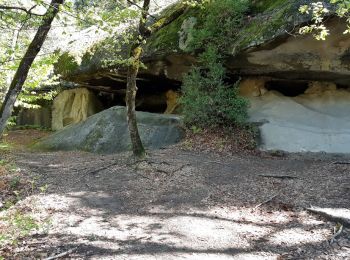 Randonnée Marche Annot - Annot Chambre du roi Portettes - Photo