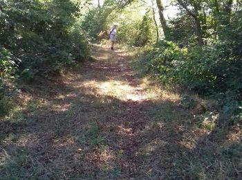 Excursión Senderismo Saint-André-en-Morvan - SAINT-ANDRE-EN-MORVAN (9/20) - Photo