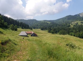 Tocht Stappen Montcel - BAUGES: TOUR DE LA FORET DOMANIALE DU GRAND REVARD - Photo