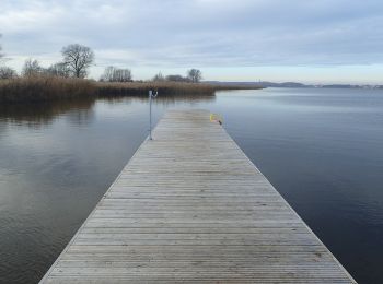 Percorso A piedi  - Szlak Liwiej Łuży - Photo