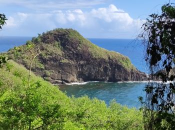 Tocht Stappen Sainte-Marie - Ste Marie vers Marigot - Photo