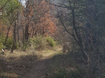 Randonnée Marche Manosque - 1Pélicier, chemin des collines, le Chateau via l'Ausselet - Photo