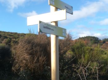 Excursión Senderismo Lentillères - Crêtes de Lentilleres - Photo