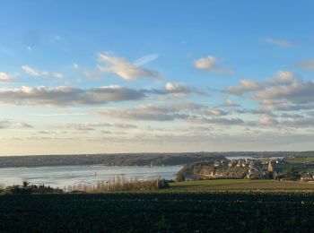 Tour Wandern Saint-Suliac - Saint-Suliac les bords de la Rance - Photo