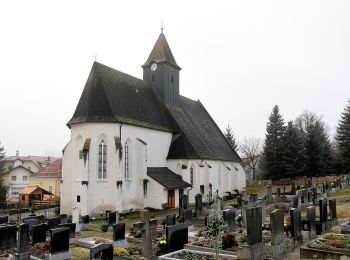 Tocht Te voet Gemeinde Kirchstetten - Große Rundwanderung Totzenbach - Photo